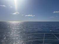 Great day of scuba diving in Key Largo with Rainbow Reef on uscgc duane tropical odyssey 2025 02 27 r17618 1