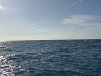 Great day of scuba diving in Key Largo with Rainbow Reef on banana patch tropical odyssey 2025 01 06 r17286 1