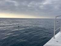 Great day of scuba diving in Key Largo with Rainbow Reef on benwood wreck tropical serenity 2025 01 14 r17332 1