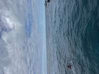 Great day of scuba diving in Key Largo with Rainbow Reef on christ statue tropical legend 2025 01 27 r17395 1