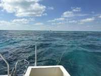 Great day of scuba diving in Key Largo with Rainbow Reef on christ statue tropical odyssey 2025 01 30 r17412 1
