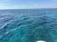 Great day of scuba diving in Key Largo with Rainbow Reef on christ statue tropical serenity 2025 01 29 r17408 1