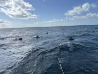 Great day of scuba diving in Key Largo with Rainbow Reef on christmastree cave tropical serenity 2025 01 15 r17339 1