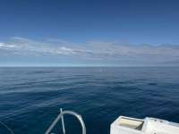Great day of scuba diving in Key Largo with Rainbow Reef on city of washington tropical odyssey 2025 01 12 r17323 1