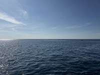 Great day of scuba diving in Key Largo with Rainbow Reef on conch ledge tropical serenity 2025 01 01 r17247 1