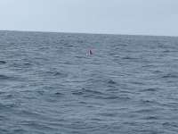 Great day of scuba diving in Key Largo with Rainbow Reef on drift french tropical destiny 2025 01 17 r17351 1