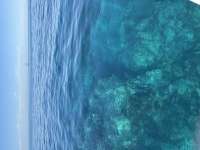 Great day of scuba diving in Key Largo with Rainbow Reef on fire coral cave tropical serenity 2025 01 28 r17405 1