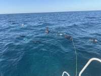 Great day of scuba diving in Key Largo with Rainbow Reef on fire coral cave tropical serenity 2025 01 29 r17406 1