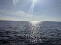 Great day of scuba diving in Key Largo with Rainbow Reef on jjs cave tropical legend 2025 01 01 r17248 1