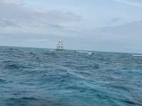 Great day of scuba diving in Key Largo with Rainbow Reef on molasses reef tropical destiny 2025 01 18 r17355 1