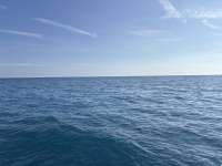 Great day of scuba diving in Key Largo with Rainbow Reef on molasses reef tropical legend 2025 01 01 r17245 1