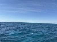Great day of scuba diving in Key Largo with Rainbow Reef on molasses reef tropical odyssey 2025 01 07 r17289 1