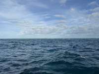Great day of scuba diving in Key Largo with Rainbow Reef on nine channel tropical legend 2025 01 26 r17388 1