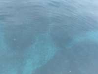 Great day of scuba diving in Key Largo with Rainbow Reef on nine channel tropical serenity 2025 01 12 r17322 1