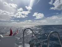 Great day of scuba diving in Key Largo with Rainbow Reef on permit ledges tropical odyssey 2025 01 05 r17280 1
