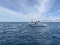 Great day of scuba diving in Key Largo with Rainbow Reef on spiegel grove tropical destiny 2025 01 03 r17266 1