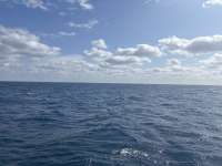 Great day of scuba diving in Key Largo with Rainbow Reef on spiegel grove tropical odyssey 2025 01 15 r17337 1