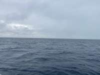 Great day of scuba diving in Key Largo with Rainbow Reef on spiegel grove tropical odyssey 2025 01 20 r17366 1