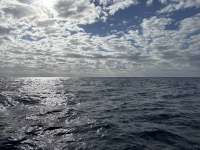 Great day of scuba diving in Key Largo with Rainbow Reef on spiegel grove tropical odyssey 2025 01 27 r17391 1