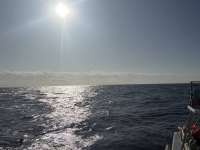 Great day of scuba diving in Key Largo with Rainbow Reef on uscgc bibb tropical odyssey 2025 01 15 r17336 1