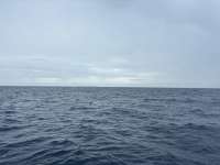Great day of scuba diving in Key Largo with Rainbow Reef on uscgc duane tropical odyssey 2025 01 20 r17365 1