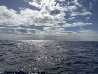Great day of scuba diving in Key Largo with Rainbow Reef on uscgc duane tropical odyssey 2025 01 27 r17393 1