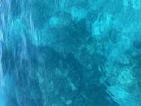 Great day of scuba diving in Key Largo with Rainbow Reef on winch hole tropical serenity 2025 01 28 r17404 1
