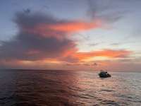 Great day of scuba diving in Key Largo with Rainbow Reef on benwood wreck tropical destiny 2025 07 12 r18433 1