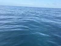 Great day of scuba diving in Key Largo with Rainbow Reef on benwood wreck tropical destiny 2025 07 13 r18434 1