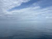 Great day of scuba diving in Key Largo with Rainbow Reef on benwood wreck tropical destiny 2025 07 14 r18444 1