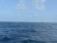 Great day of scuba diving in Key Largo with Rainbow Reef on eagle ray alley tropical destiny 2025 07 11 r18415 1