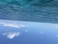 Great day of scuba diving in Key Largo with Rainbow Reef on eagle ray alley tropical legend 2025 07 29 r18530 1