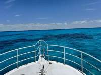 Great day of scuba diving in Key Largo with Rainbow Reef on fire coral cave tropical serenity 2025 07 26 r18505 1