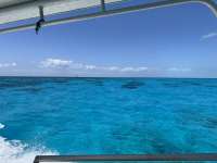 Great day of scuba diving in Key Largo with Rainbow Reef on fire coral cave tropical serenity 2025 07 26 r18505 3