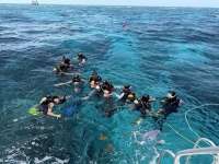 Great day of scuba diving in Key Largo with Rainbow Reef on molasses reef tropical destiny 2025 07 24 r18494 1