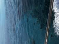 Great day of scuba diving in Key Largo with Rainbow Reef on molasses reef tropical legend 2025 07 22 r18482 1