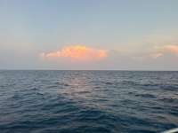 Great day of scuba diving in Key Largo with Rainbow Reef on molasses reef tropical odyssey 2025 07 05 r18393 1