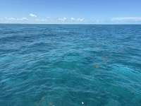 Great day of scuba diving in Key Largo with Rainbow Reef on pickles reef tropical destiny 2025 07 20 r18475 1