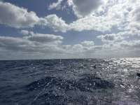 Great day of scuba diving in Key Largo with Rainbow Reef on spiegel grove tropical destiny 2025 07 26 r18503 1