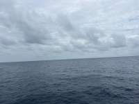 Great day of scuba diving in Key Largo with Rainbow Reef on spiegel grove tropical odyssey 2025 07 04 r18382 1