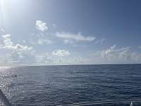 Great day of scuba diving in Key Largo with Rainbow Reef on spiegel grove tropical odyssey 2025 07 07 r18405 1