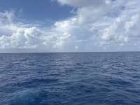 Great day of scuba diving in Key Largo with Rainbow Reef on spiegel grove tropical odyssey 2025 07 15 r18450 1