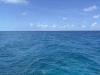 Great day of scuba diving in Key Largo with Rainbow Reef on benwood wreck tropical destiny 2025 06 14 r18242 1
