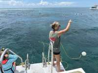 Great day of scuba diving in Key Largo with Rainbow Reef on christ statue tropical serenity 2025 06 11 r18223 1