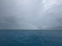Great day of scuba diving in Key Largo with Rainbow Reef on crf nursery tropical adventure 2025 06 26 r18328 1