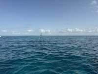 Great day of scuba diving in Key Largo with Rainbow Reef on eagle ray alley tropical legend 2025 06 07 r18186 1