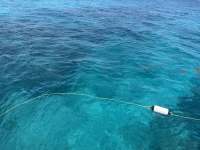 Great day of scuba diving in Key Largo with Rainbow Reef on elbow reef tropical serenity 2025 06 08 r18206 1