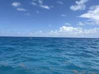 Great day of scuba diving in Key Largo with Rainbow Reef on five caves tropical destiny 2025 06 16 r18264 1