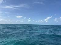 Great day of scuba diving in Key Largo with Rainbow Reef on minnow cave tropical adventure 2025 06 18 r18274 1