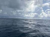 Great day of scuba diving in Key Largo with Rainbow Reef on nine channel tropical adventure 2025 06 25 r18325 1